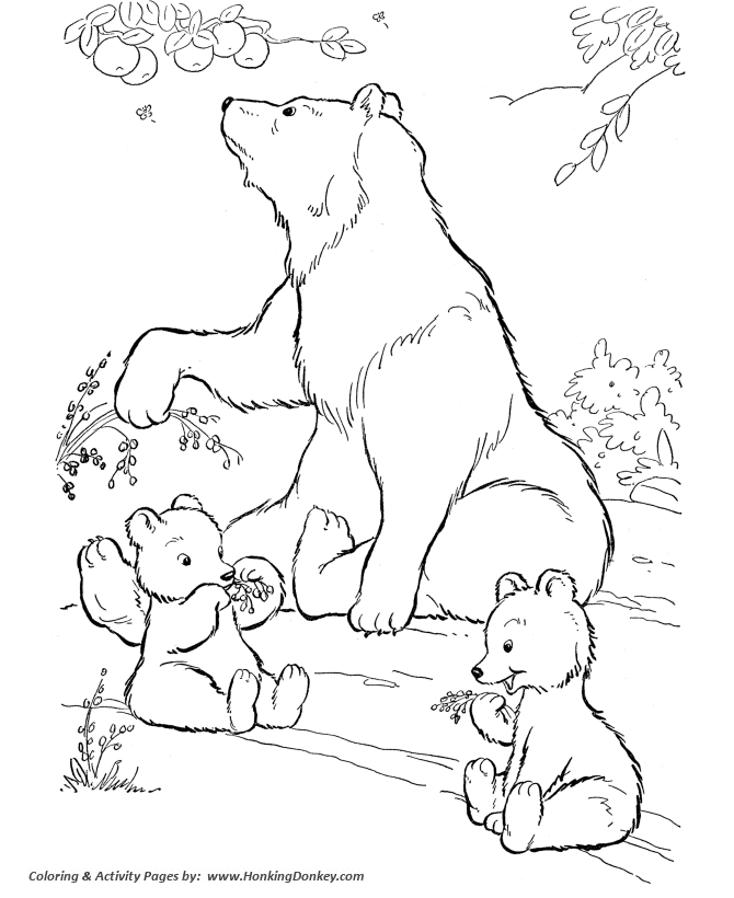 Wild animal coloring page | Wild bears eating berries