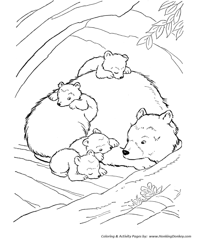Wild animal coloring page | Inside the Bear Den