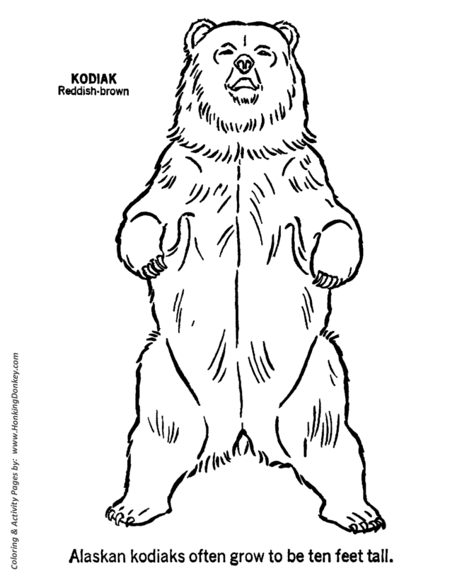 Wild animal coloring page | Kodiak Bear up Coloring page  