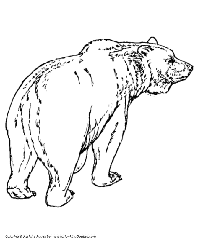 Wild animal coloring page | Grizzly Bear walking on all four Coloring page