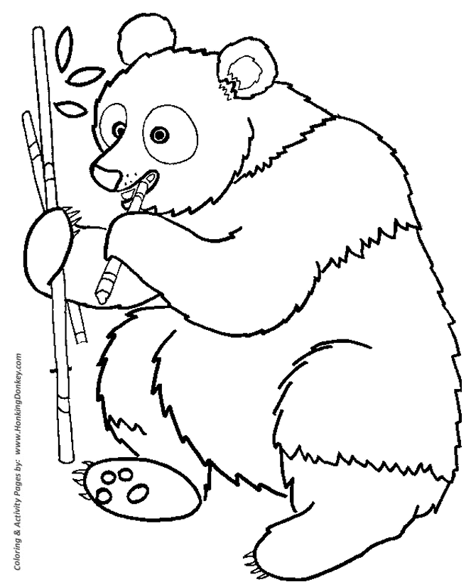 Wild animal coloring page | Panda bear eating bamboo