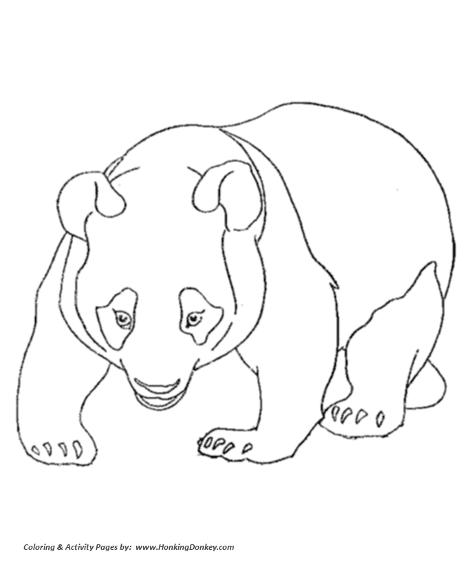 Wild animal coloring page | Panda bear walking