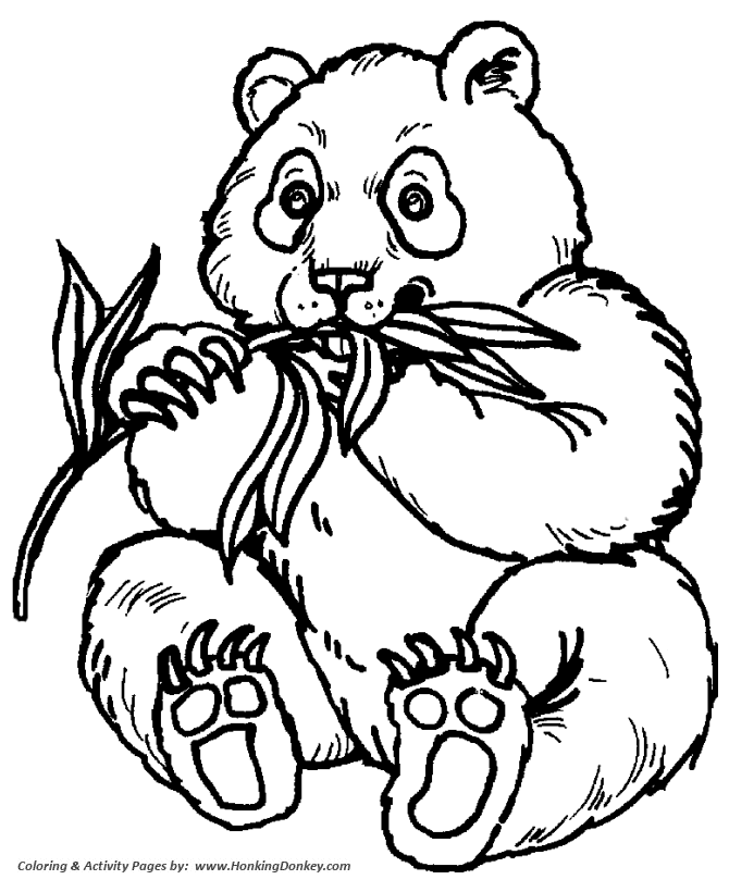 Wild animal coloring page | Panda eating