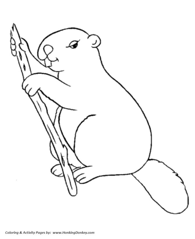 Wild animal coloring page | Busy beaver with a stick