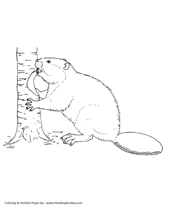 Wild animal coloring page | Beaver cutting down a tree