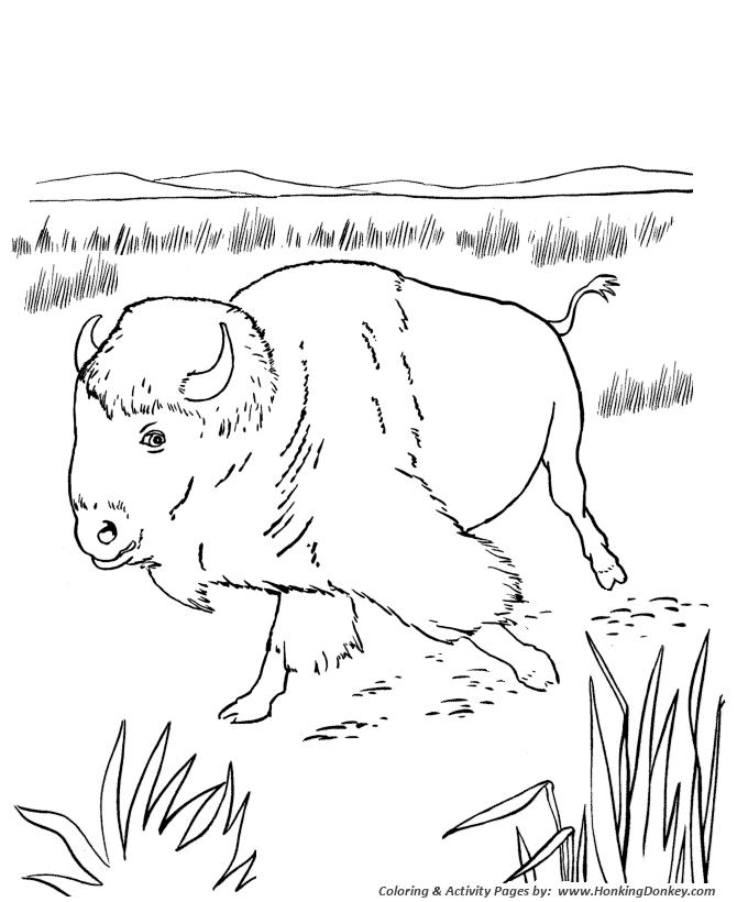 pacific northwest animal coloring pages - photo #40