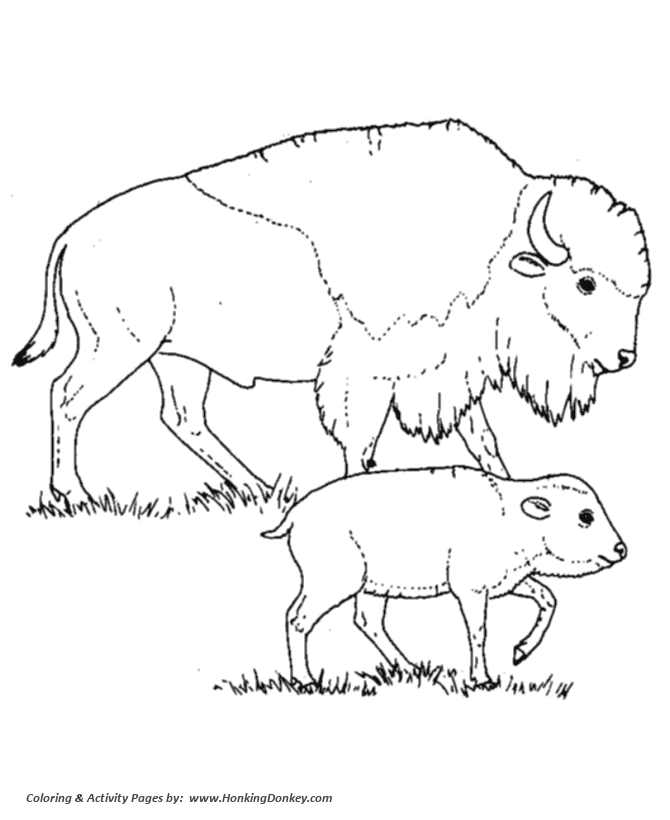 Wild animal coloring page | Bison mother and calf Coloring page