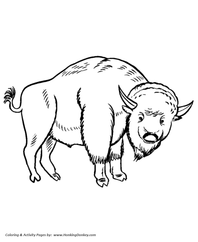 Wild animal coloring page | Drawing of large Bison  Coloring page
