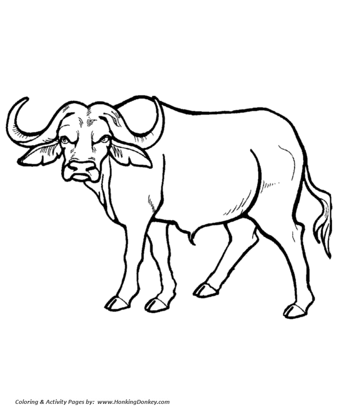 Wild animal coloring page | African Buffalo Coloring page