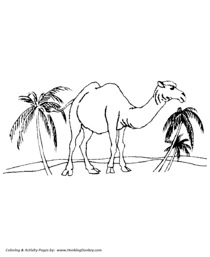 Wild animal coloring page | Desert Camel Coloring page