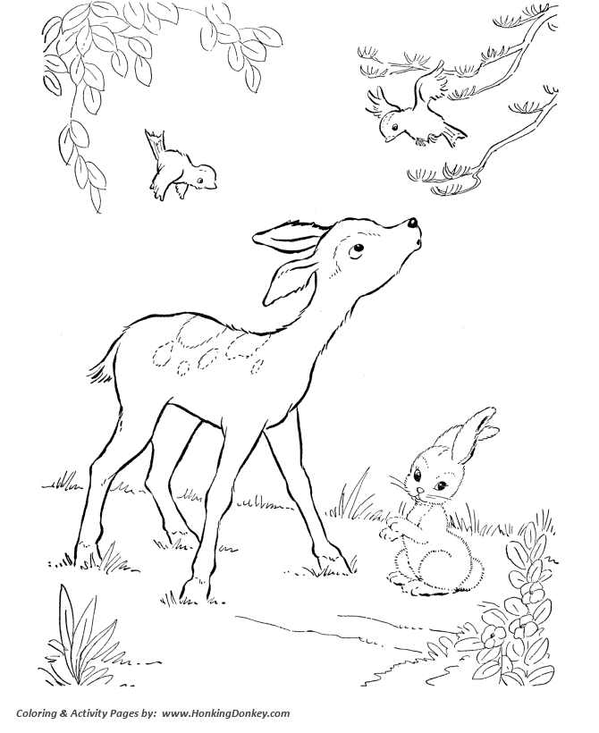 Fawn and rabbit Coloring page | Bambi and Thumper like coloring page