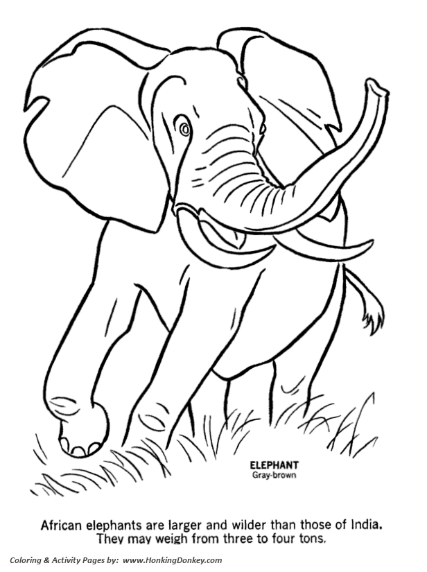 Wild Animal Coloring Pages | Wild Elephant Coloring Page and Kids