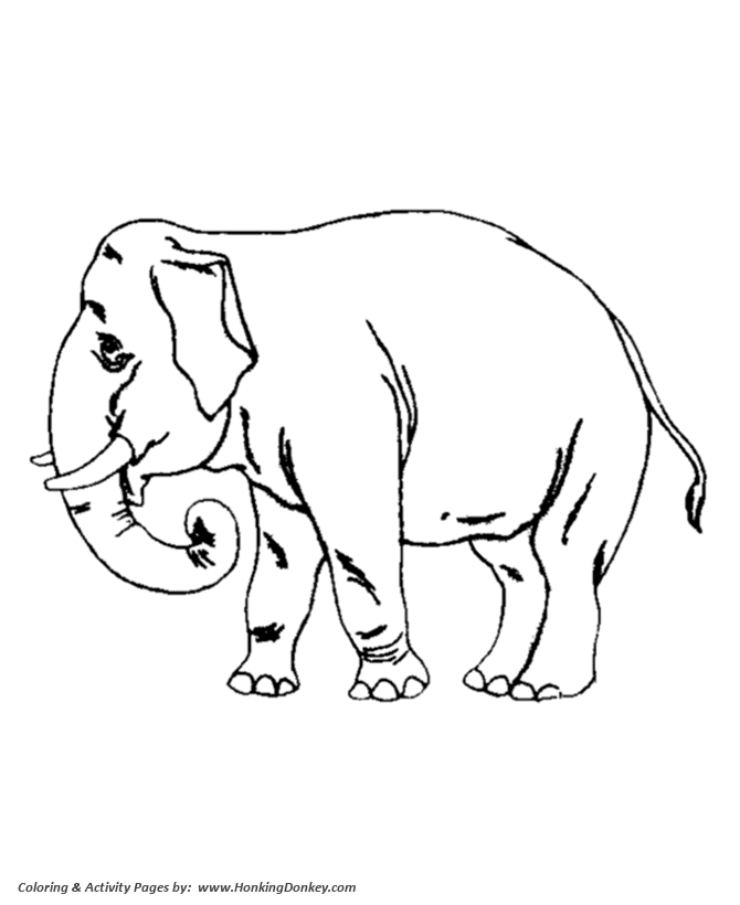 Wild animal coloring page | Trained Work Elephant Coloring page