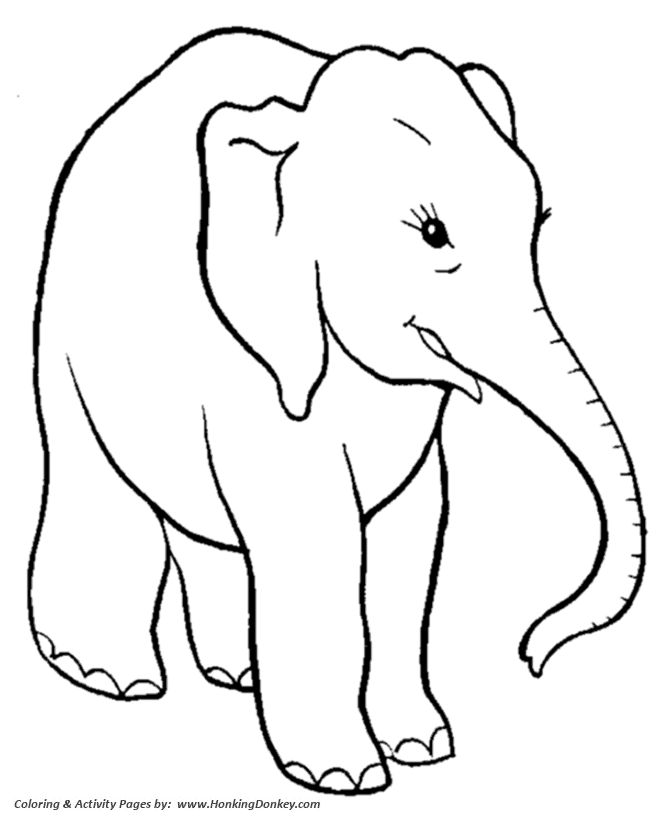 elephant colouring pages