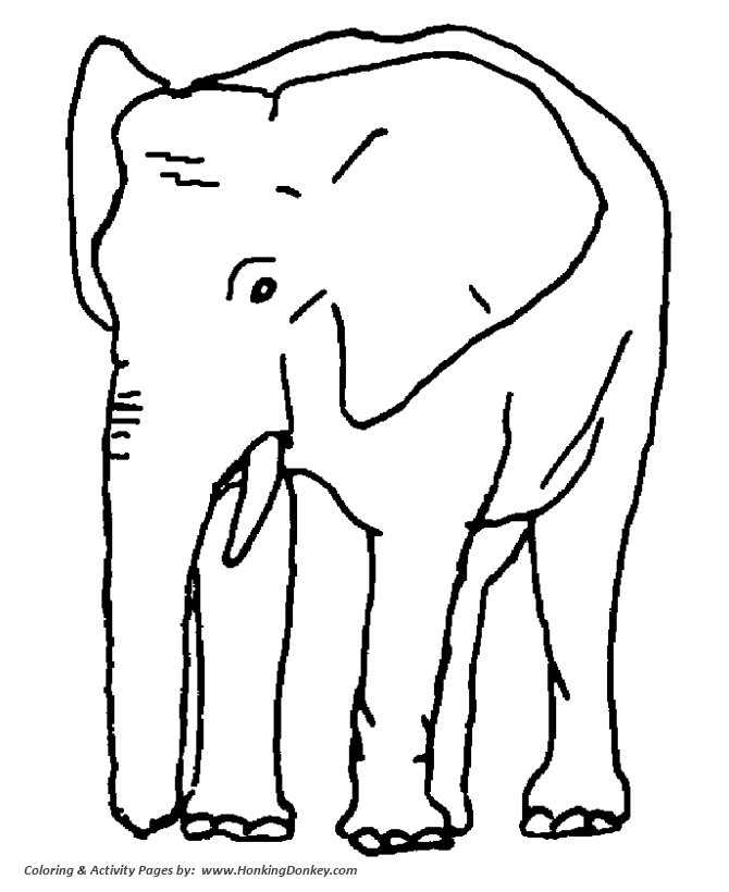 African and Indian elephants coloring page | Elephant Coloring page