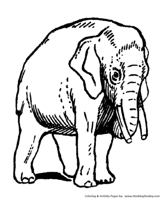 Domesticated Elephants  coloring page | Elephant Coloring page