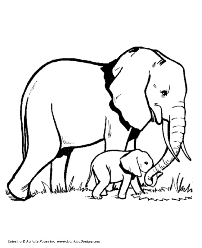 Wild animal coloring page | Elephant Family Coloring page