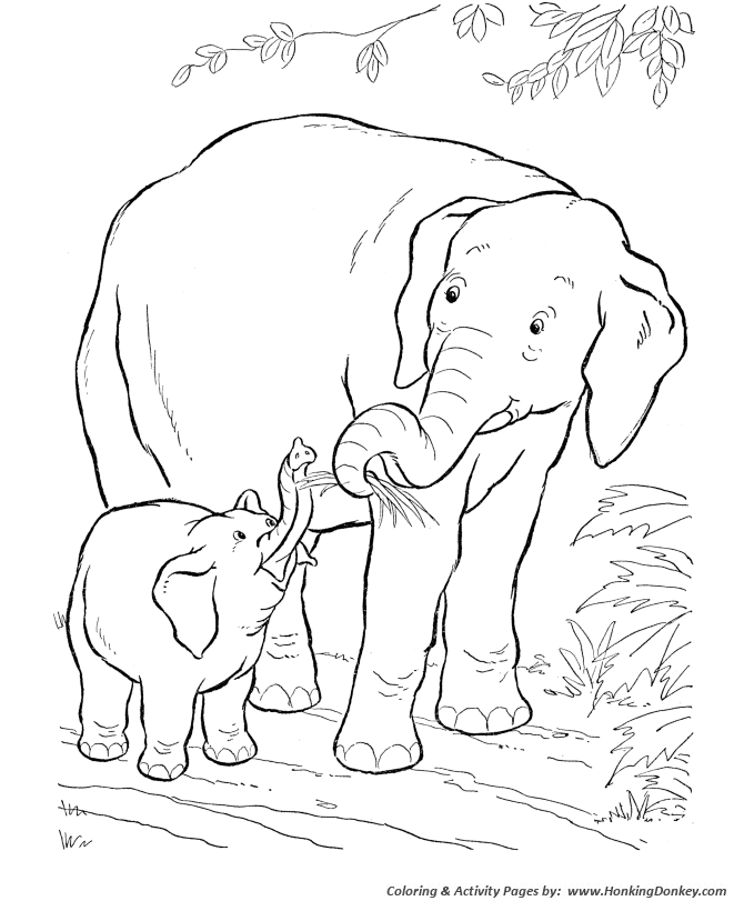 elephant colouring pages