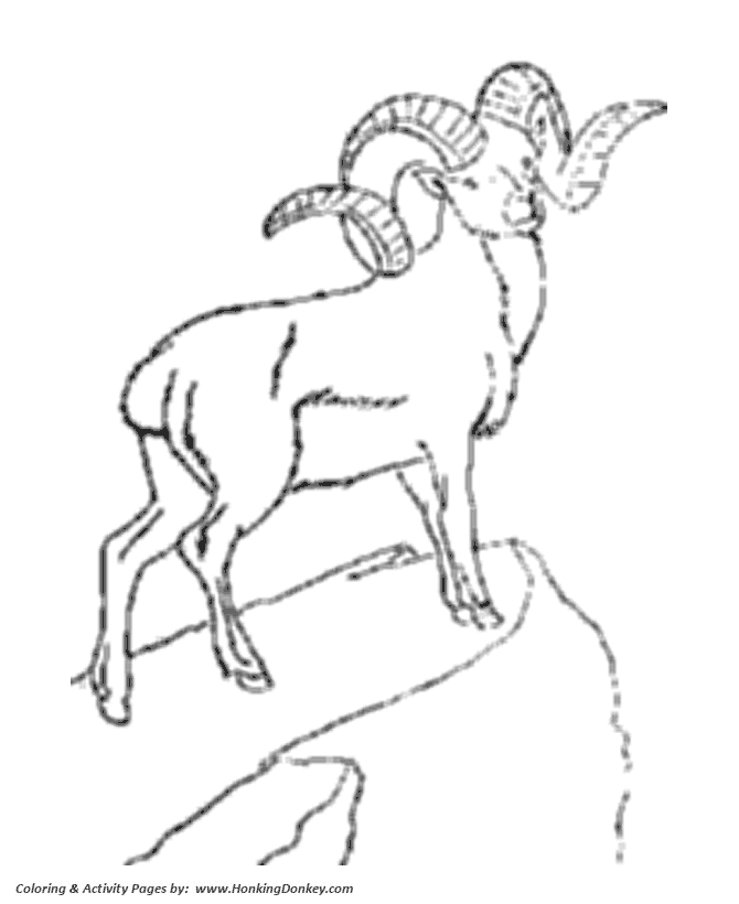 Goat with big horns coloring page | Goat Coloring page