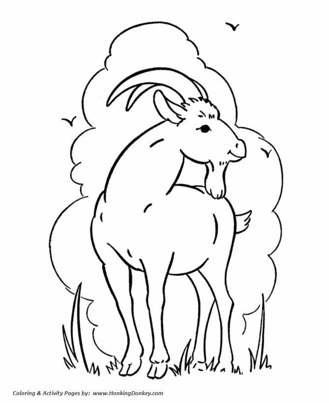 Goat with wiskers coloring page | Goat Coloring page
