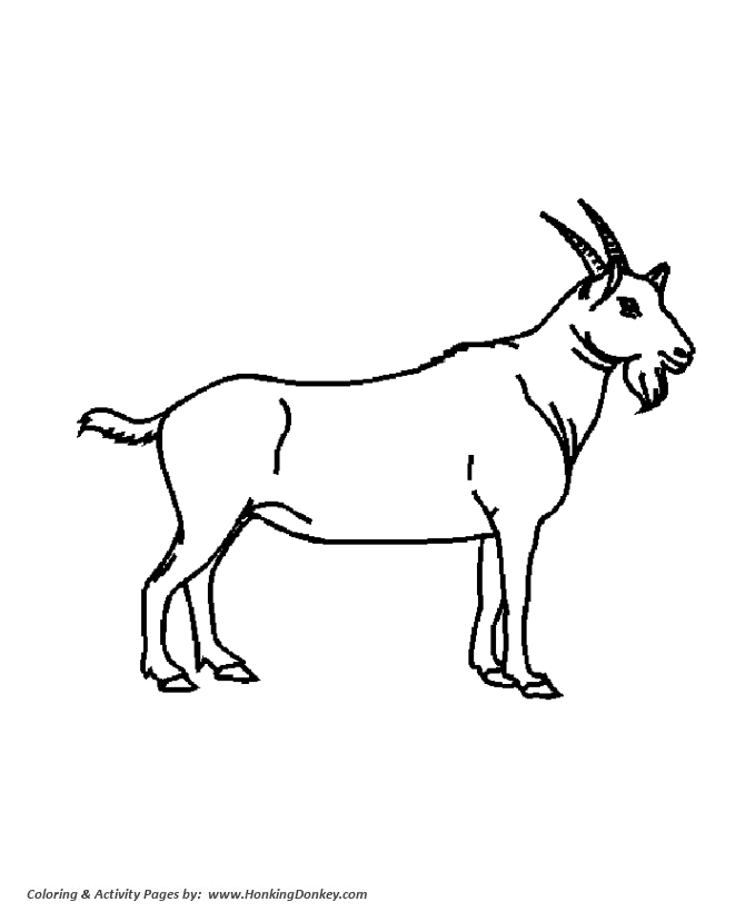 Wild animal coloring page | Big Goat Coloring page