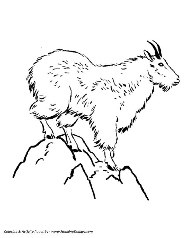 Wild animal coloring page | Mountain Goat Coloring page