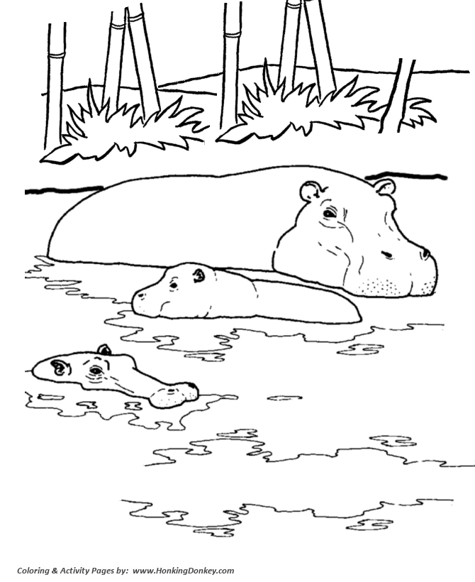 Wild animal coloring page | River Hippo Coloring page