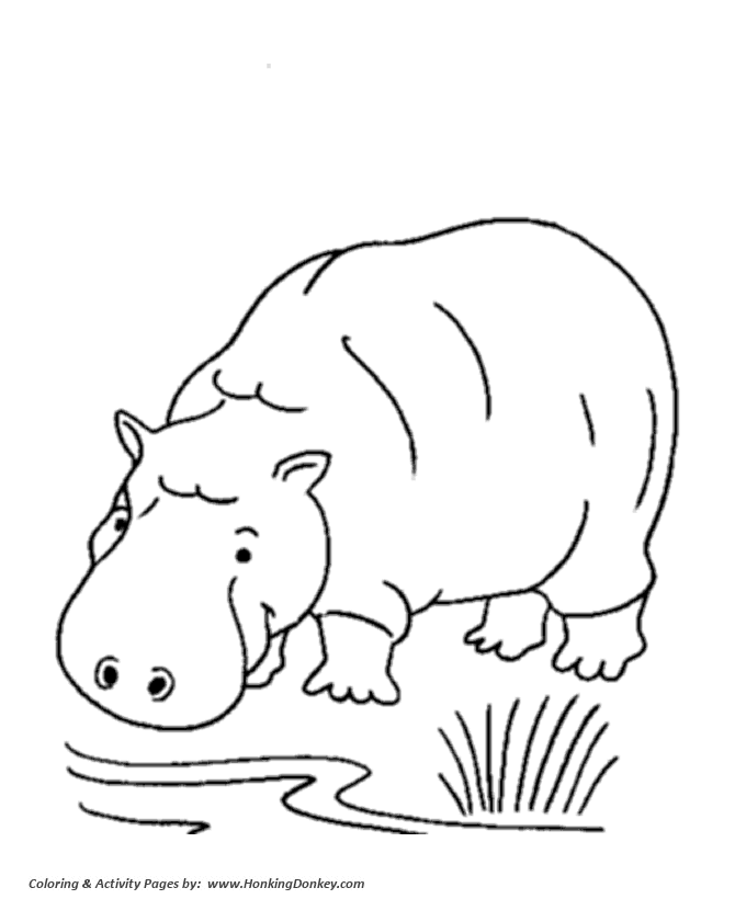Wild animal coloring page | Hippopotamus Coloring page