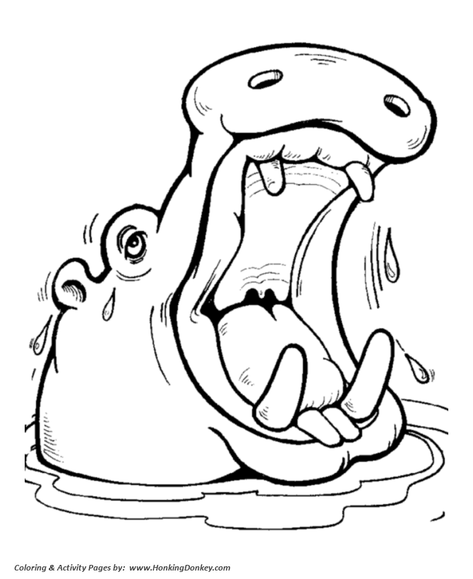h is for hippo coloring pages - photo #31