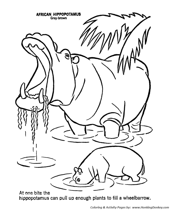 Wild Animal Coloring Pages | Yawning Hippo - Hippopotamus ...