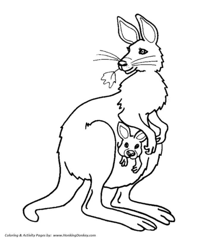 Female Kangaroo and baby coloring page | Kangaroo Coloring page