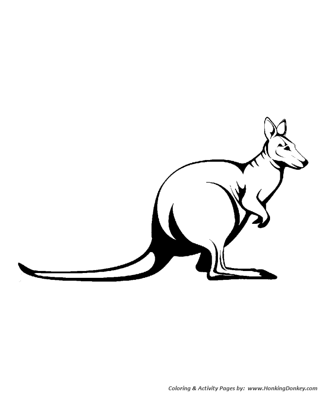 Wild animal coloring page | Large Kangaroo Coloring page