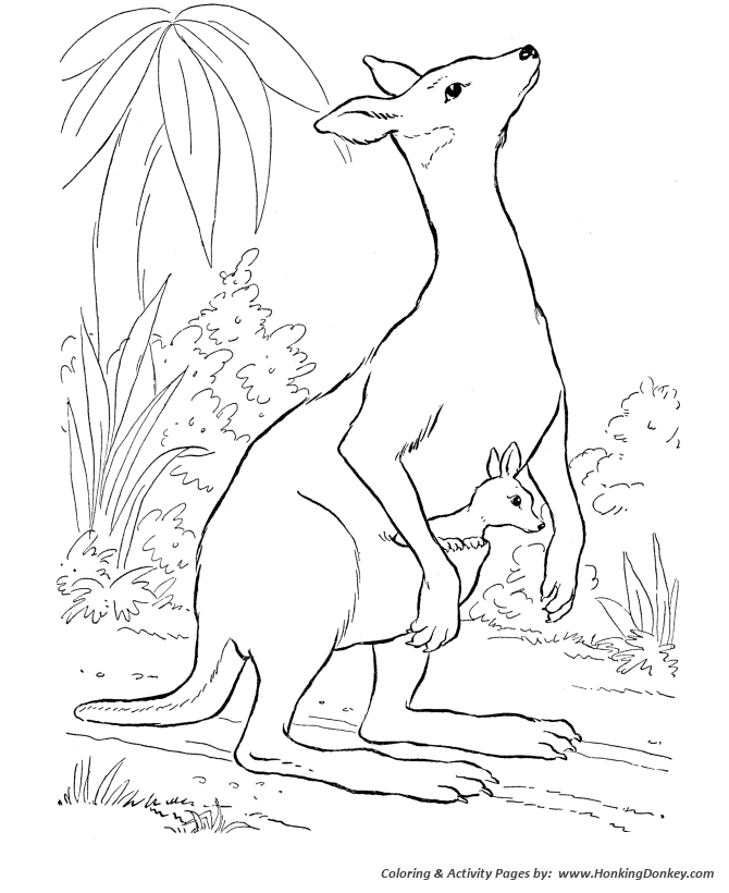 Wild animal coloring page | Cute baby kangaroo Coloring page