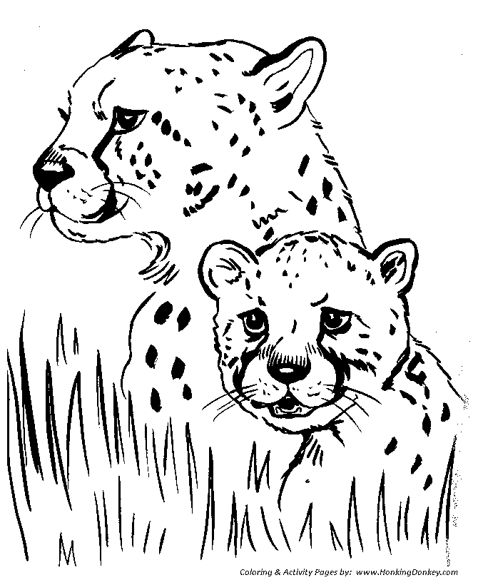 Wild animal coloring page | Cheetah Coloring page