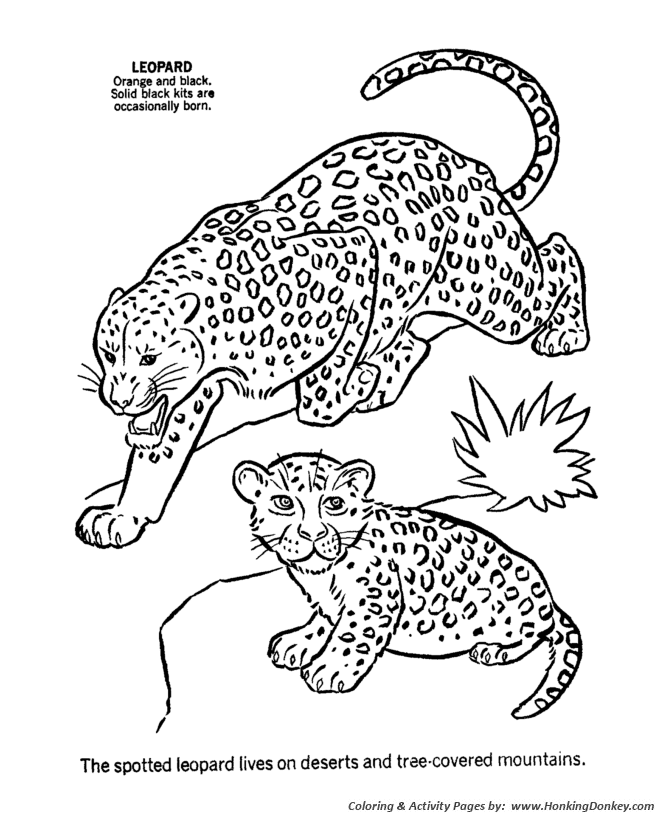 Male and Female Leopard coloring page | Leopard Coloring page