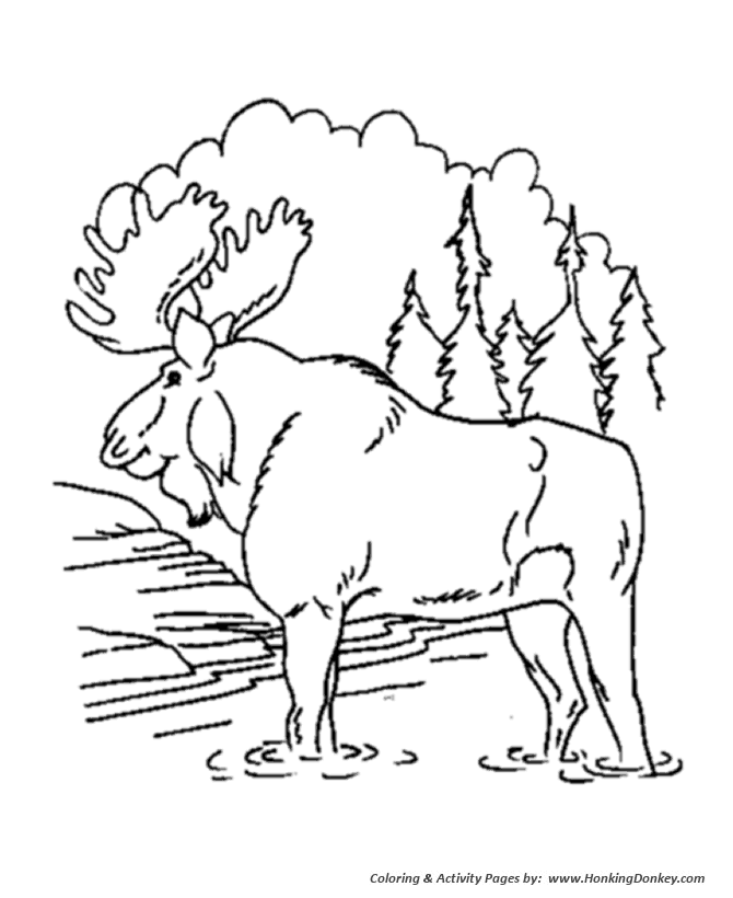 moss coloring page