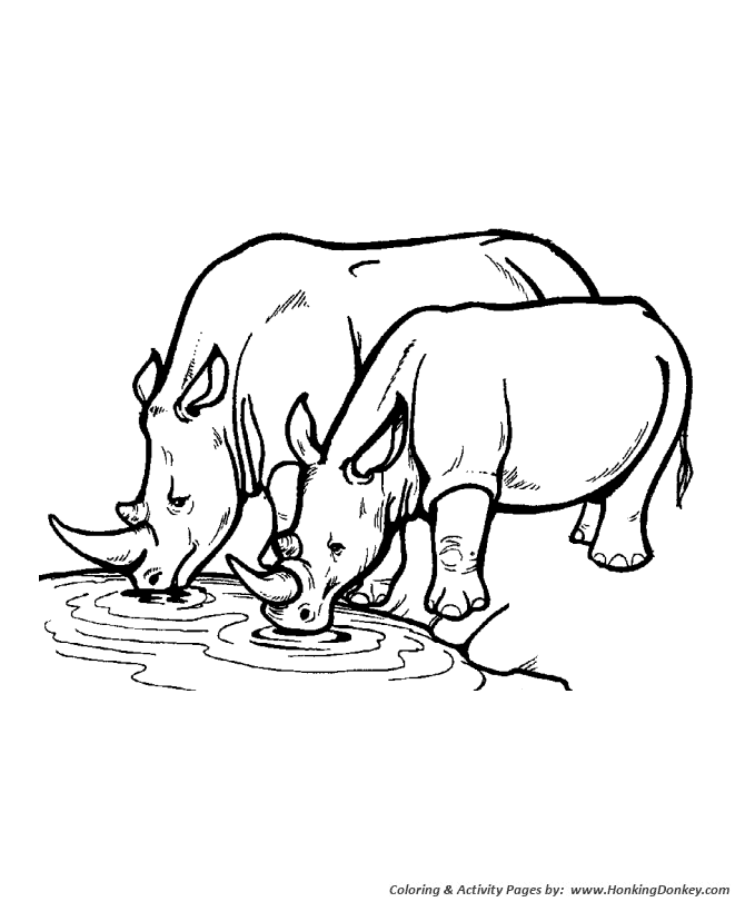 Rhinos at the water hole animal coloring page | Rhinoceros Coloring page