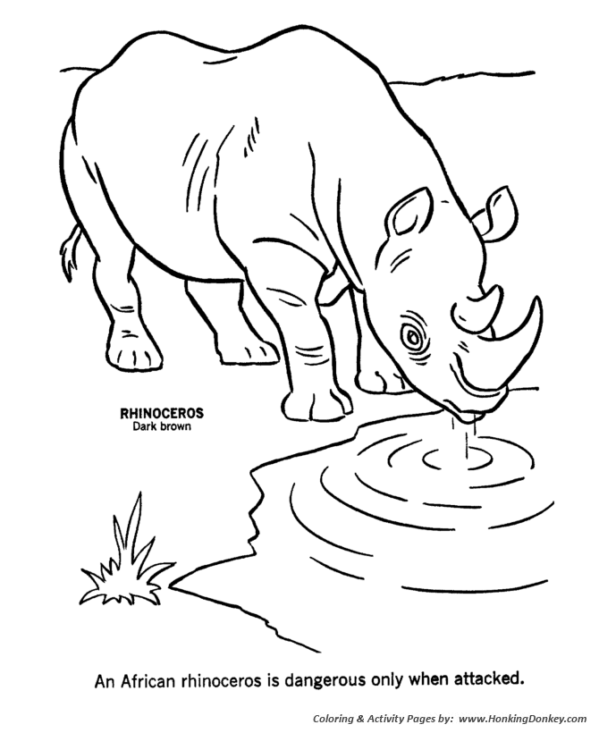Rhino at the water hole coloring page | African Rhinoceros Coloring page