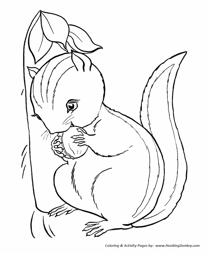 Striped squirrels coloring page | Chipmunk Coloring page