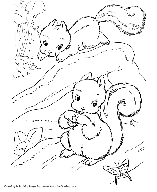Playful squirrels coloring page | Squirrel Coloring page