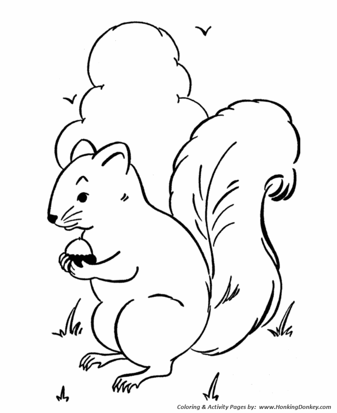 Squirrels gather nuts coloring page | Squirrel Coloring page