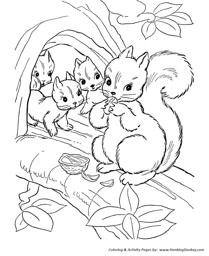 Wild Animal Coloring Pages | Squirrel family Coloring Page ...