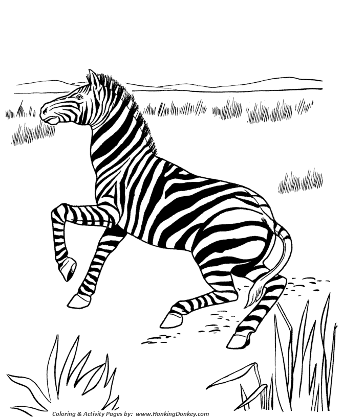 Wild Animal Coloring Pages Lonely Zebra Coloring Page And Kids Activity Sheet Honkingdonkey