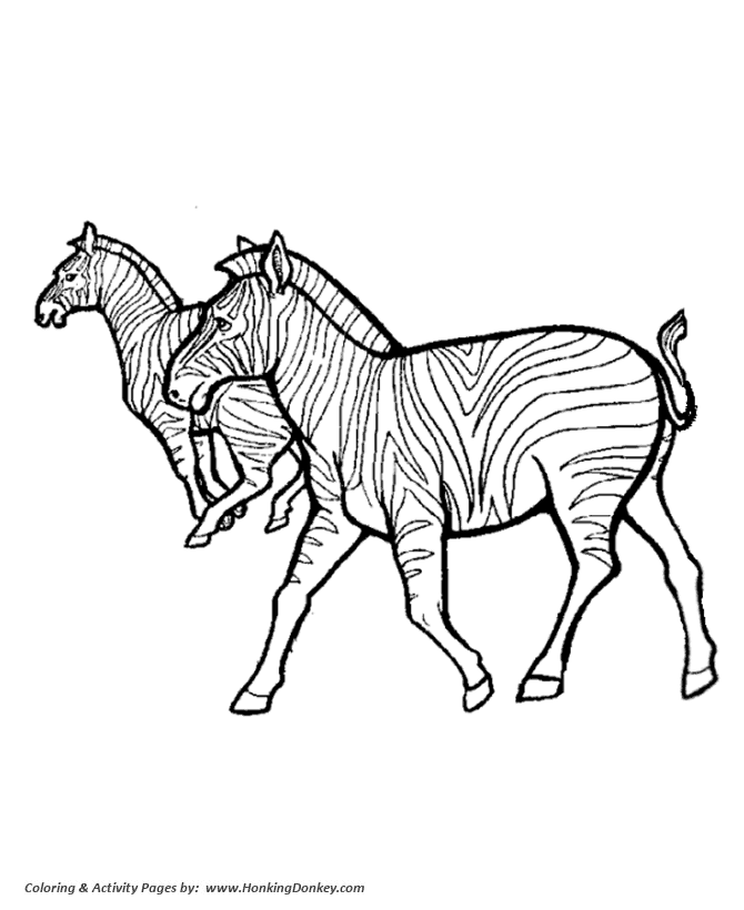 African Zebras Wild animal coloring page | Zebra Coloring page