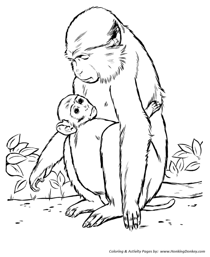 Mother and baby Monkey coloring page | Monkey Coloring page