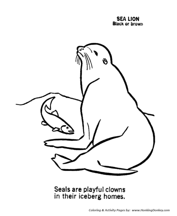 Seal coloring page | Seal catching fish Coloring page