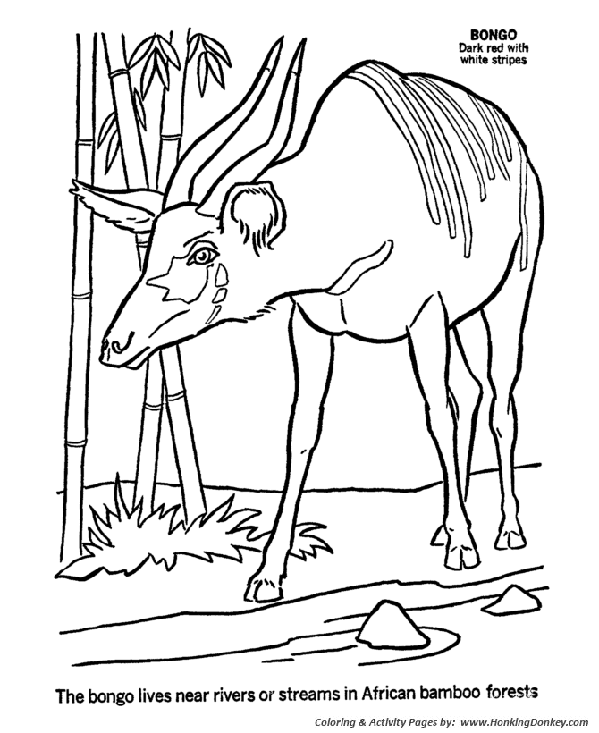 Wild animal coloring page | Bongo Coloring page