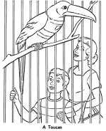 Zoo Birds coloring page | Toucan Exhibit