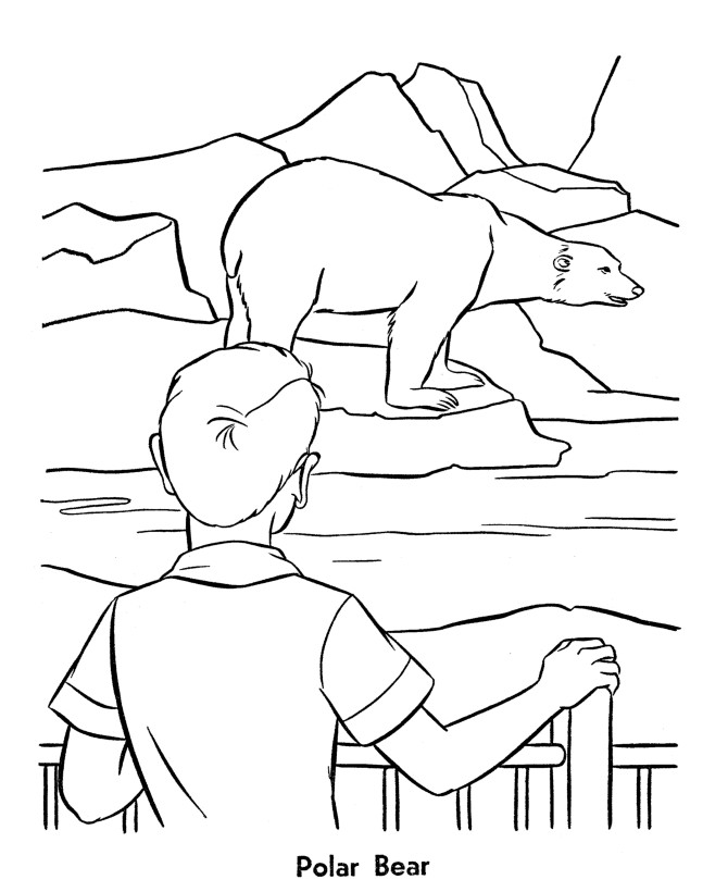 Zoo animal coloring page | Polar Bears exhibit