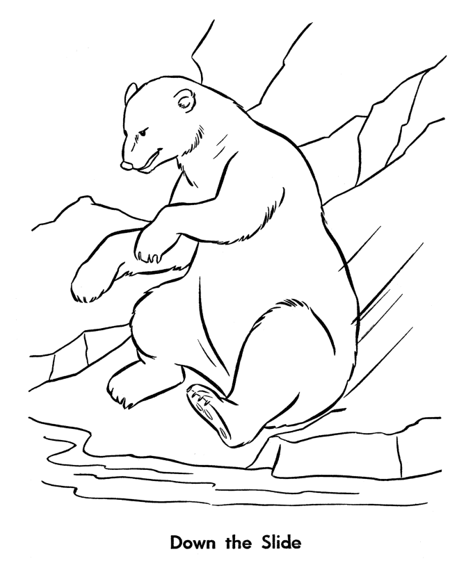 Zoo animal coloring page | Bears have fun